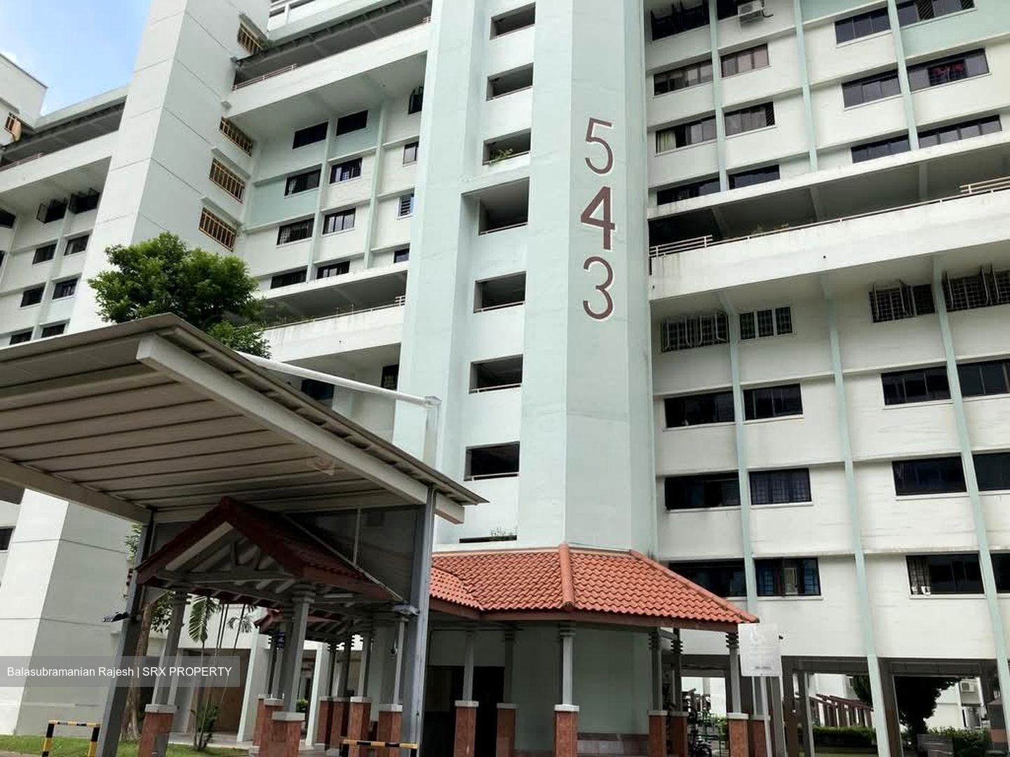 Blk 543 Ang Mo Kio Avenue 10 (Ang Mo Kio), HDB 4 Rooms #598218001
